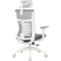 Офисное кресло Officepro Balance OC550-W-DG-DG White/Dark Gray