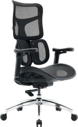 Крісло офісне Sihoo DORO S100 Mesh Black